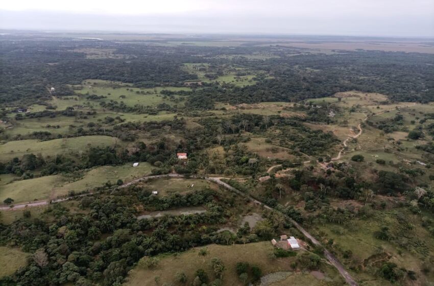  Despliega SSP operativo en Las Choapas por 12 ejecutados