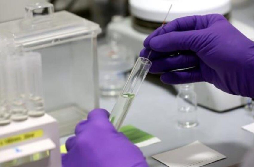  Covid-19: Tratamiento reduce hasta un 80% el riesgo al nuevo coronavirus