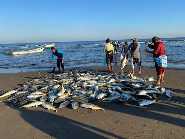  Eligieran a nuevo líder pesquero tras la muerte de Rosendo Quintana
