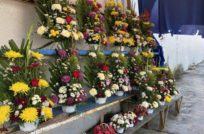  Vendedores de flores esperan que sus ventas repunten este 14 de febrero
