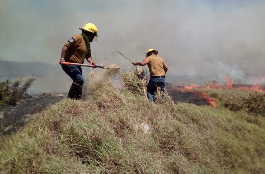  Incendio de pastizales cubrió de humo a Coatzacoalcos