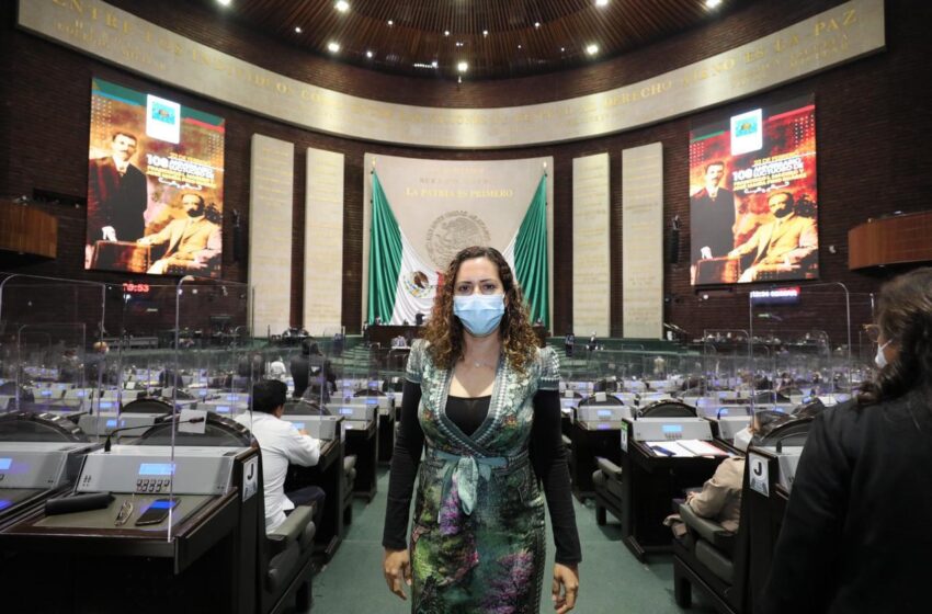  Diputada Tania Cruz exhorta a Pemex destinar más fondos para el mantenimiento de los Complejos Petroquímicos