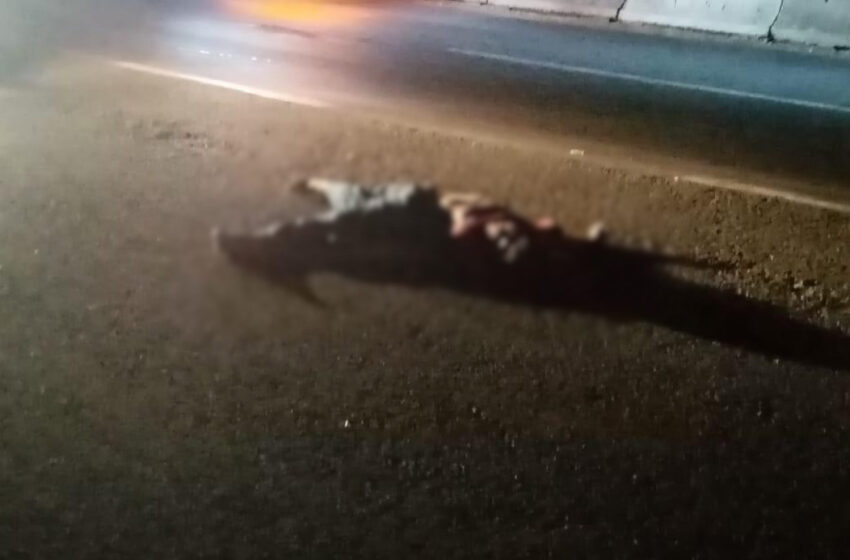  Una persona perdió la vida tras ser arrollado sobre la carretera Cosoleacaque – Nuevo Teapa