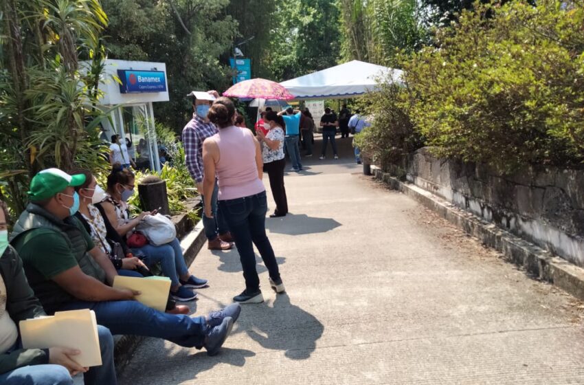  Agotada la de CanSino, profesores recibirán vacuna de Pfizer de dos dosis