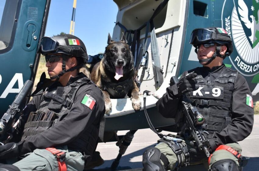  Detiene SSP a dos tras enfrentamiento en Acayucan