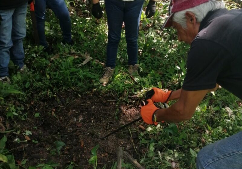  Recuperan 8 cuerpos en dos fosas clandestinas en Ixtac