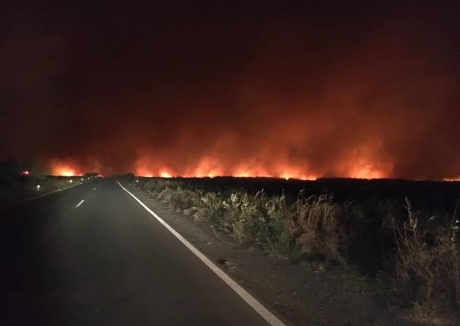  Incendios forestales dañan más del 20 por ciento de los humedales en el sur de Veracruz