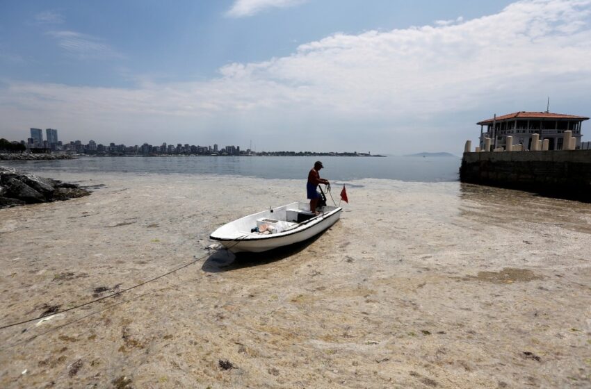  En Turquía, mar se llena de ‘moco marino’; lo atribuyen al calentamiento global