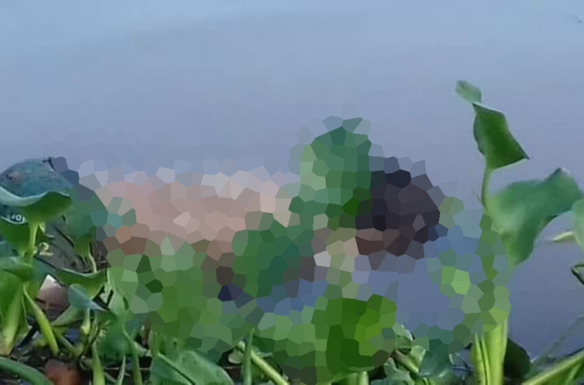  Localizan el cuerpo de Brayan, el niños arrastrado por el Rio Coatzacoalcos