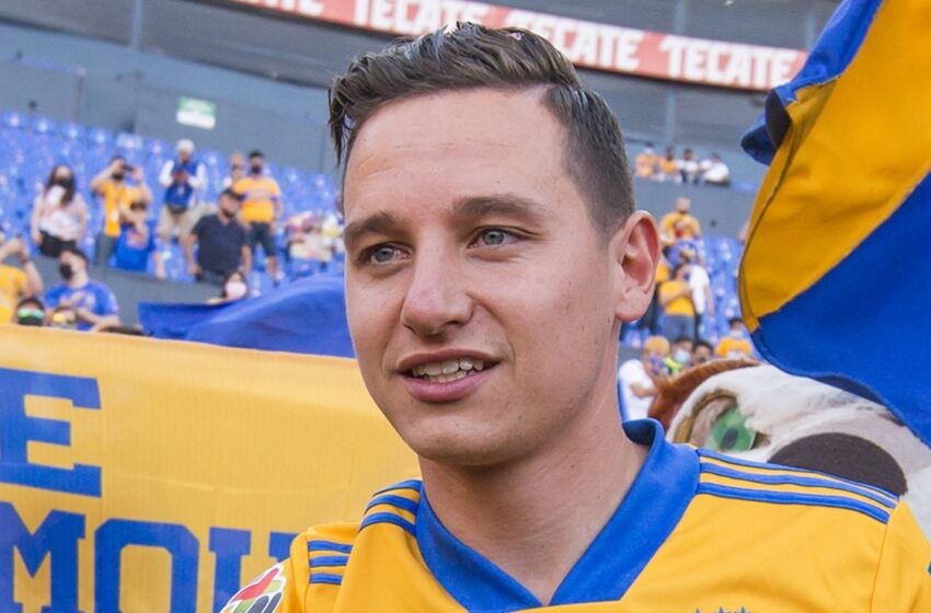  Quiero ser feliz en Tigres como Gignac, por dinero me habría ido a China: Thauvin.