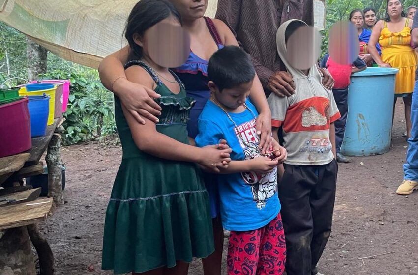  SS emite  recomendación para el manejo de plaguicidas tras envenenamiento de hermanitos