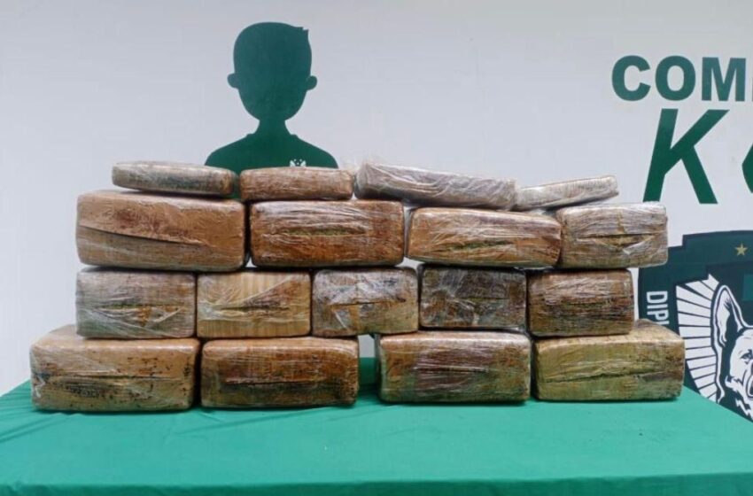  Decomisa SSP seis maletas con enervantes en la Central de Autobuses de Xalapa