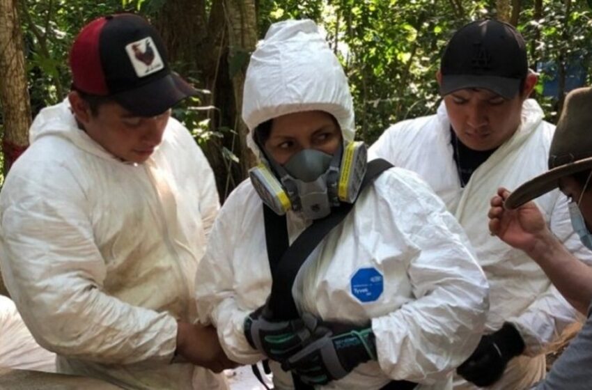  Colectivo recupera en julio y agosto 20 cuerpos de pozo artesiano en Omealca