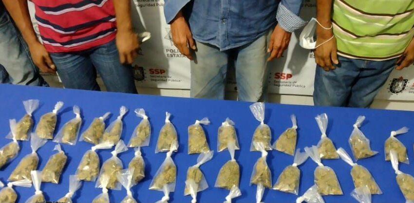  Detiene SSP a ocho personas por presuntos delitos contra la salud en zona sur