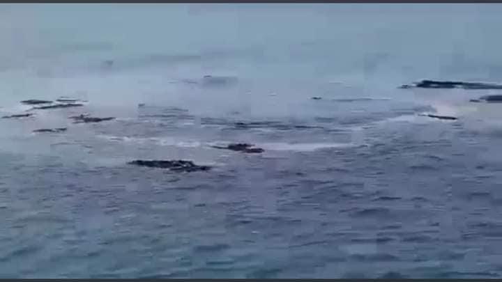  Surge yacimiento de petróleo en San Andres Tuxtla