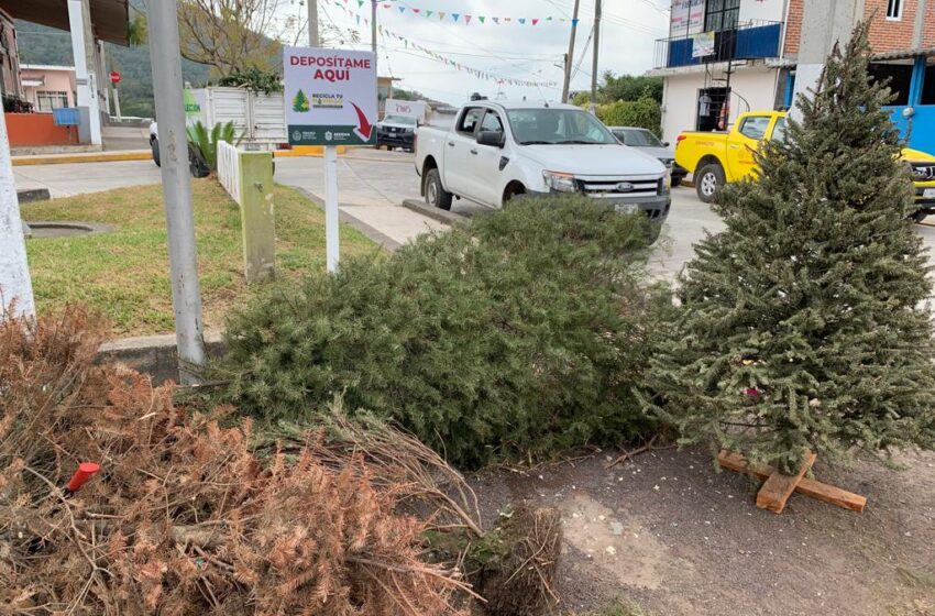  Gobierno Municipal invita a Campaña «Recicla tu Navidad»