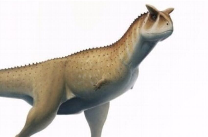  Encuentran fósil de dinosaurio sin brazos