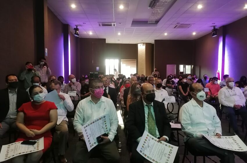  Litigantes conforman la Alianza Mexicana de Abogados (AMA)