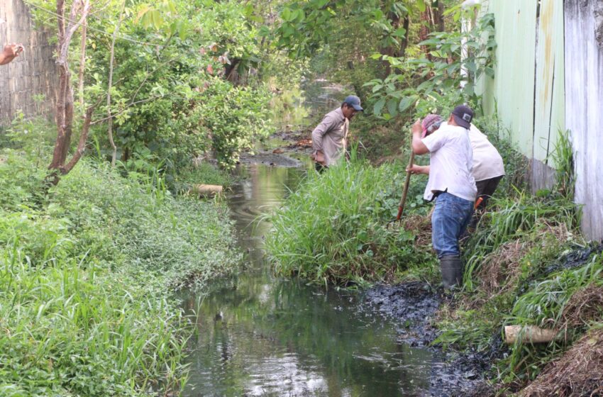  En marcha intensa limpieza de canales en Nanchital