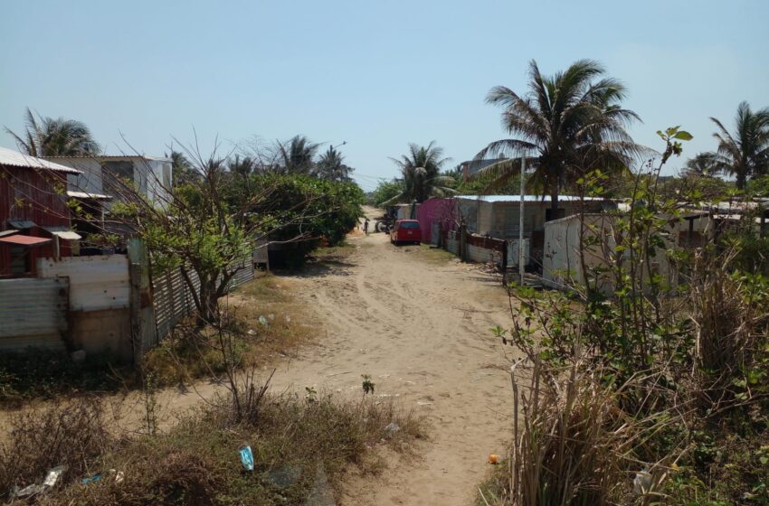  A través de la cultura buscan promover La Paz y la armonía en Coatzacoalcos