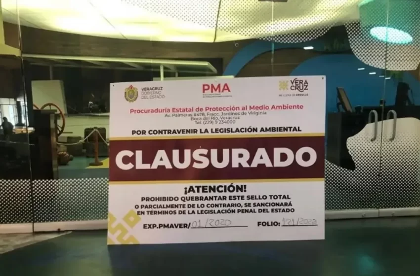 Al clausurar el Acuario de Veracruz, parece que el gobierno quiere apoderarse del patronato: ex alcalde