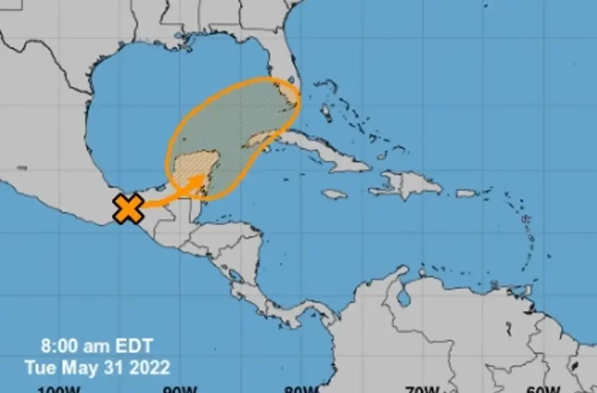  Agatha podría convertirse en tormenta Alex en el sureste de México; dejará lluvias en Veracruz