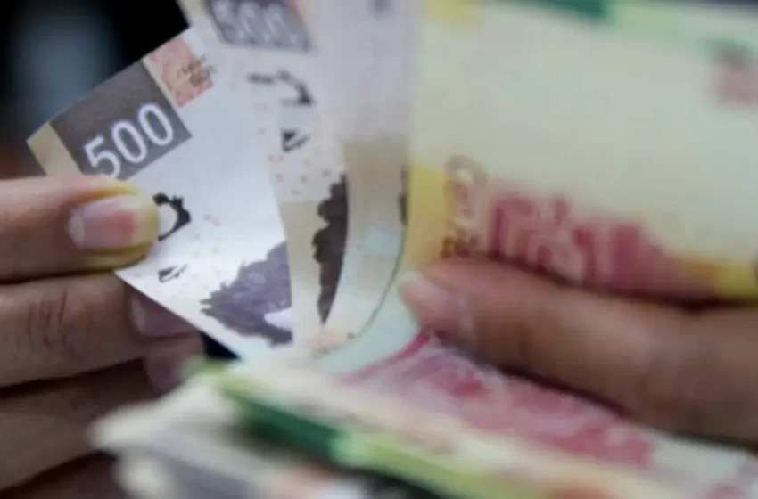  Pagarán apoyos del Bienestar a productores en Veracruz; checa a partir de cuándo