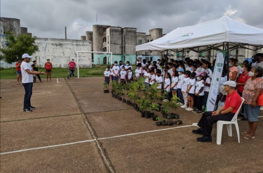  Conciencia Veracruzana reforesta y rehabilita parques de Coatzacoalcos
