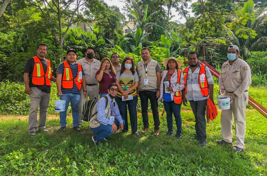  “Patios Limpios” contra el dengue alcanza a 38 mil habitantes