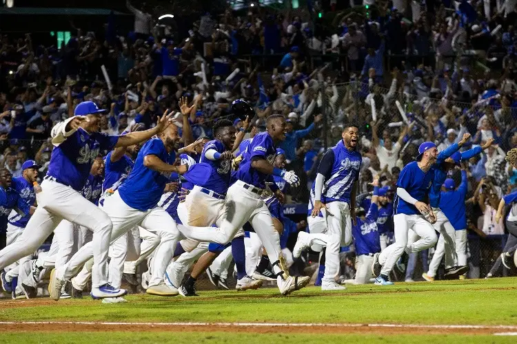  Tigres campeones en República Dominicana