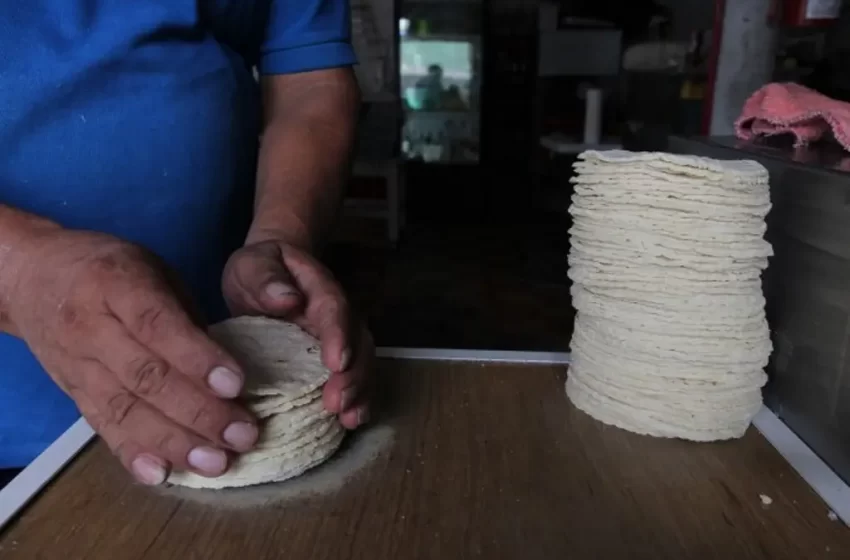  Recomiendan a amas de casa caminar más para comprar tortilla más barata