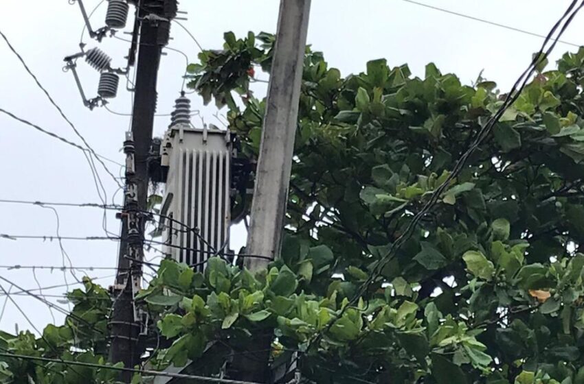  Se requieren 20 millones para trabajos de rehabilitación y mantenimiento en la red eléctrica en Coatzacoalcos