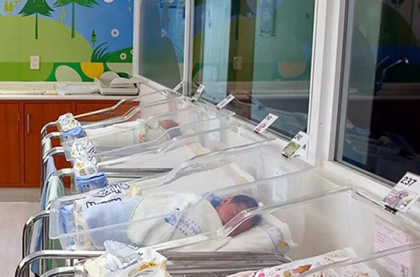  Nace el primer bebé de una mujer con trasplante de útero