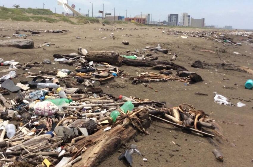  Día Mundial del Medio Ambiente 2023 enfocado en contaminación de plásticos